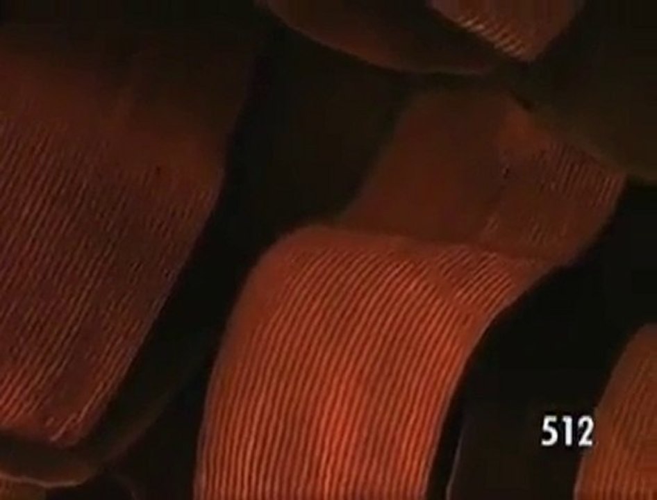 kelebek-kanadına-yapılan-binlerce-zoom