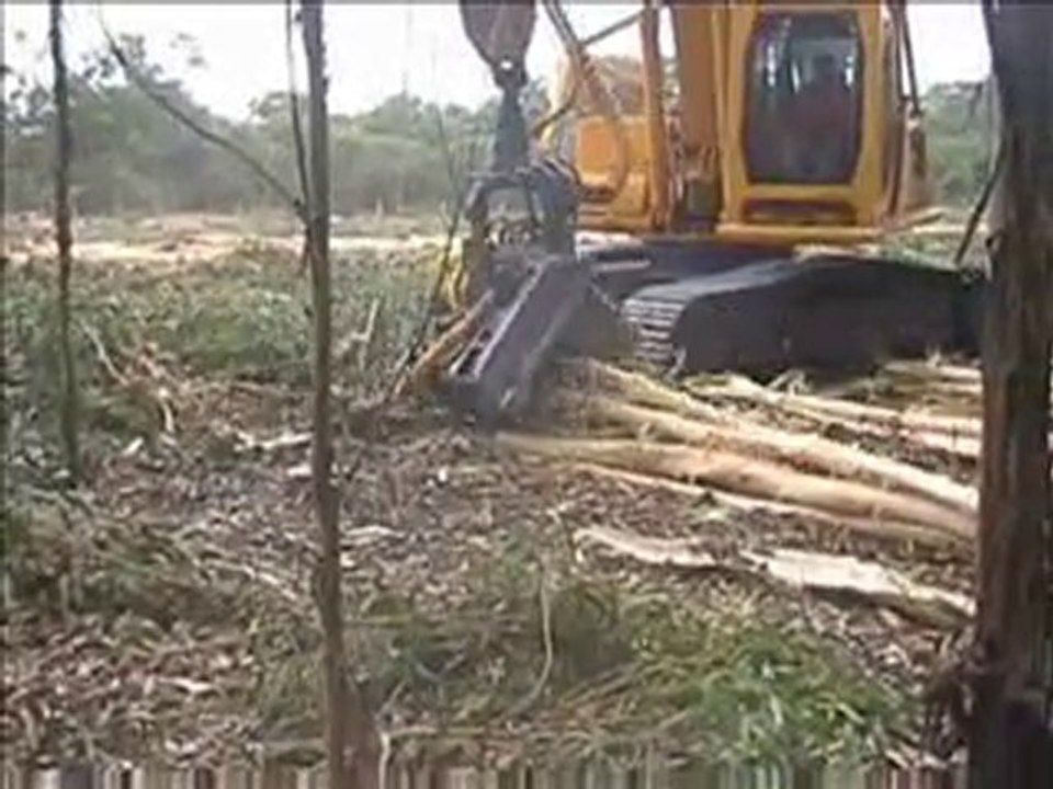 AFM 60 processing curved trees 1