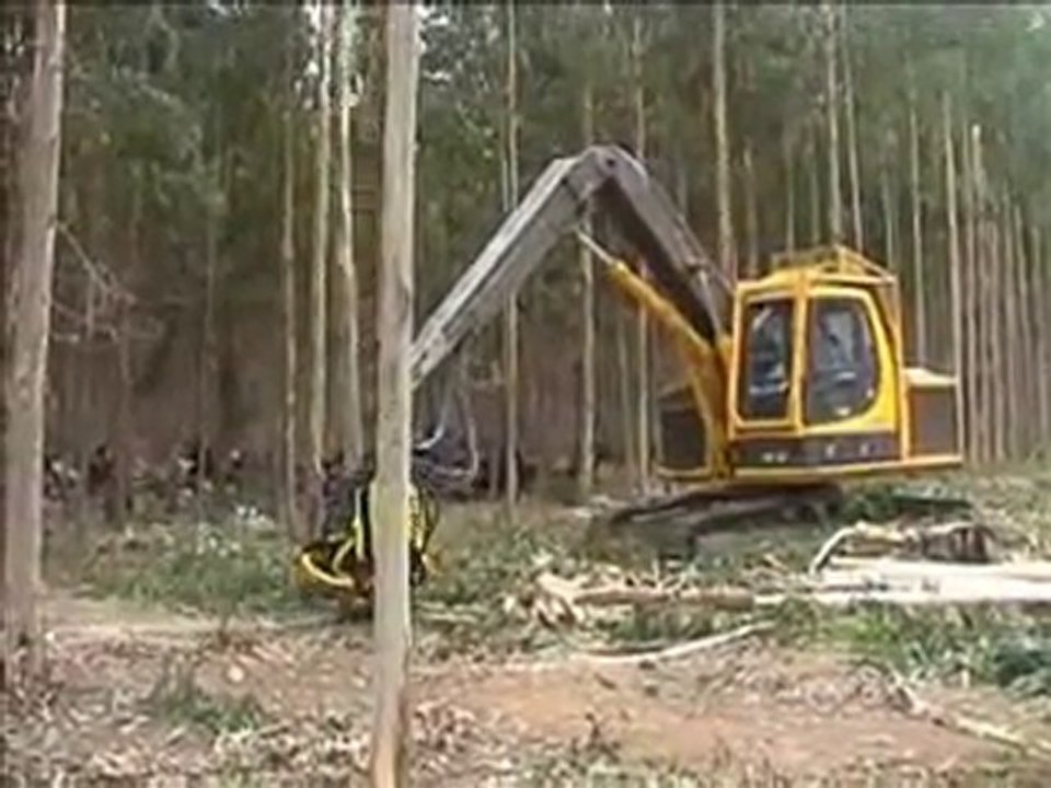 AFM 60 on Komatsu in Eucalyptus 1