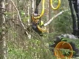 AFM 45 Corona in harvesting birch 1