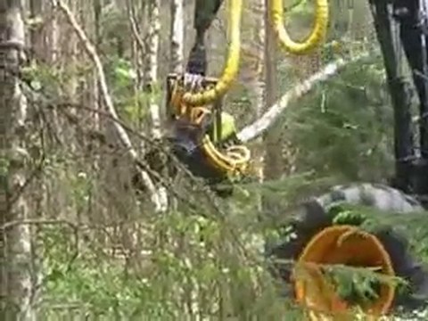 AFM 45 Corona in harvesting birch 1