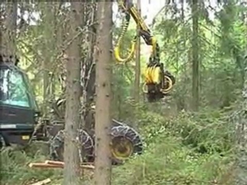 AFM 45 Corona in harvesting birch 1