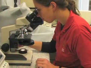 Dyrlæge Sjælland Herfølge Herfølge Dyreklinik