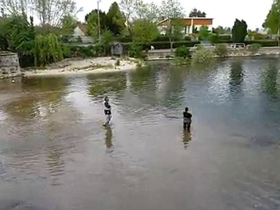 Fario à la mouche pour Kathy