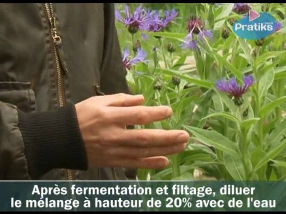 Comment faire du purin