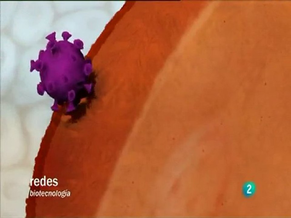 Terapia genica con bacterias