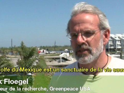 Marée noire en Louisiane - Greenpeace