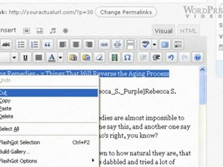 Publishing Free Articles on Your Blog - WordpressVideos.TV