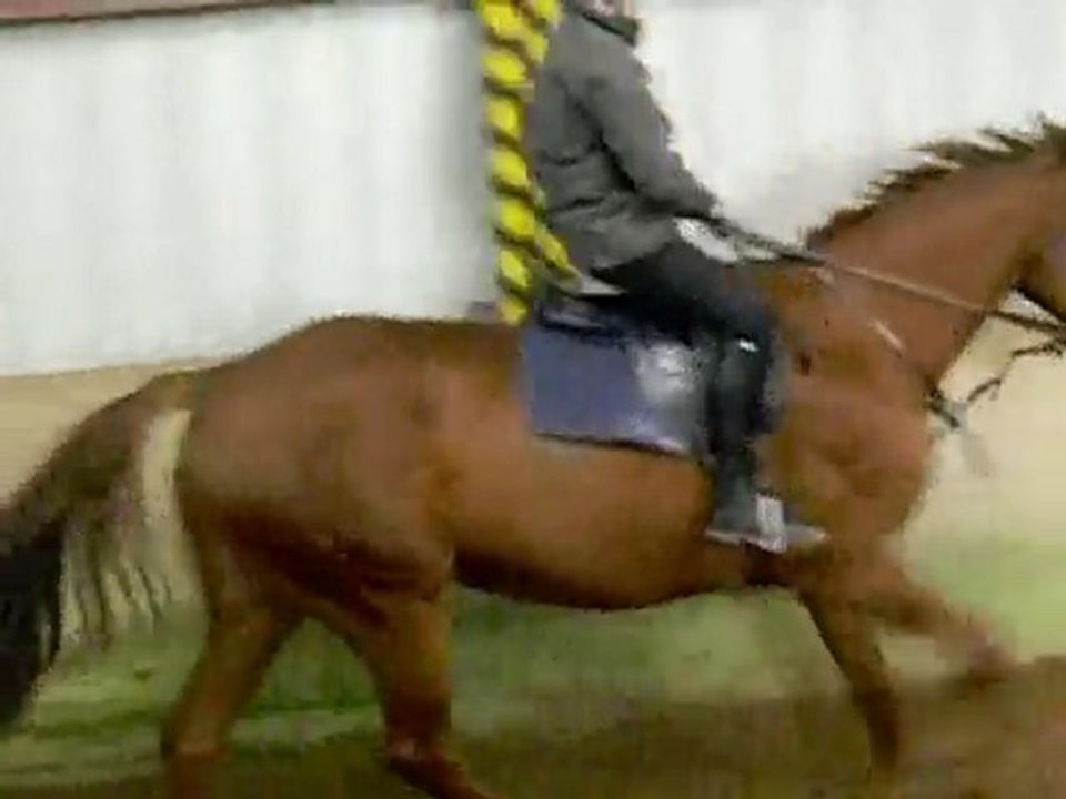 Galop du Mardi 11 Mai 2010