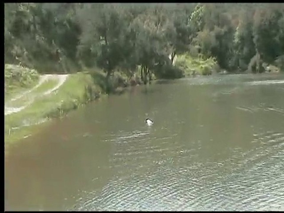 12052010 deep vee 25' first run