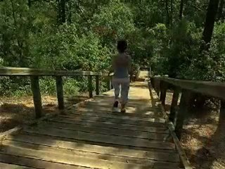 Le Pey de la Blet à La Barre de Monts - Fromentine