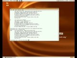Configurare IP manual in Linux