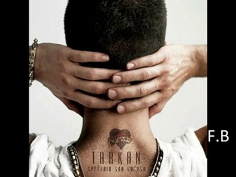 Tarkan sevdanın son vuruşu.2010 (FB)