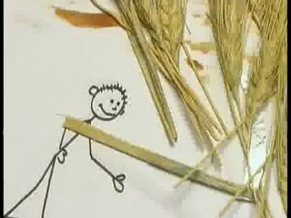 Teltelin Torbası - Buğday