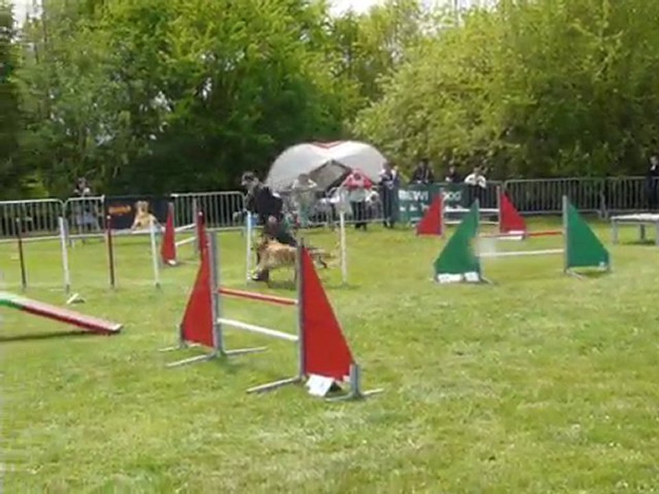Agility Les Jonquerets le 08 mai 2010