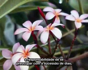 Trabalho de Literatura