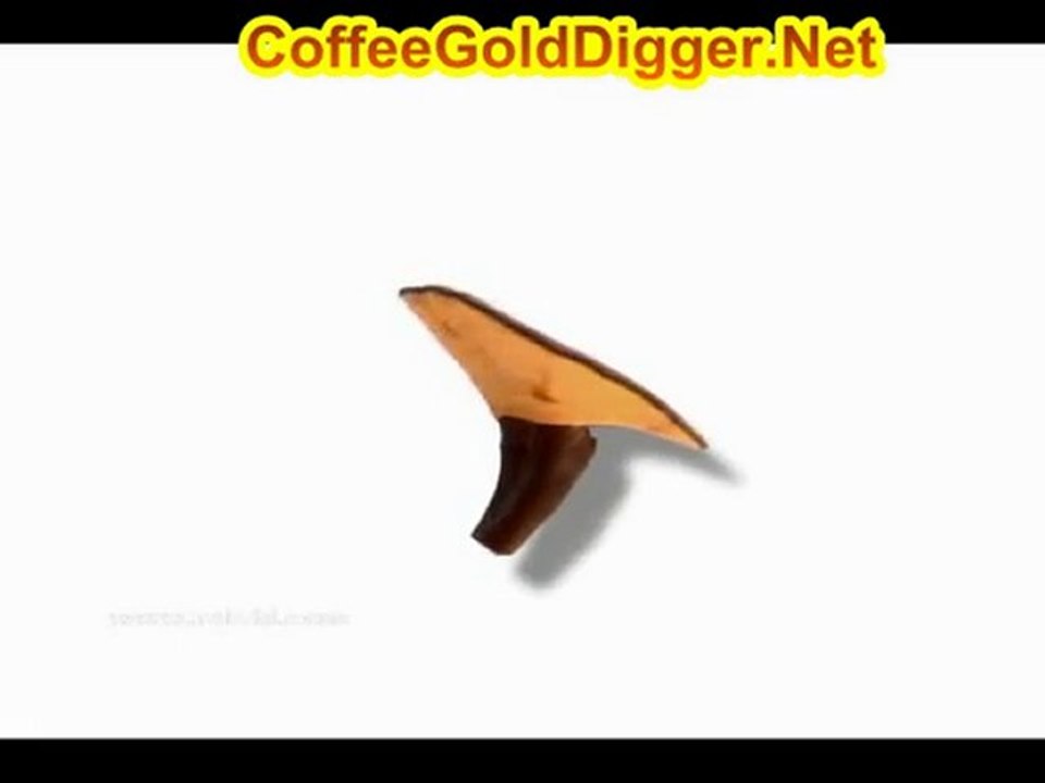 The" King of Herbs-Herb of Immortality"  Reishi Mushroom