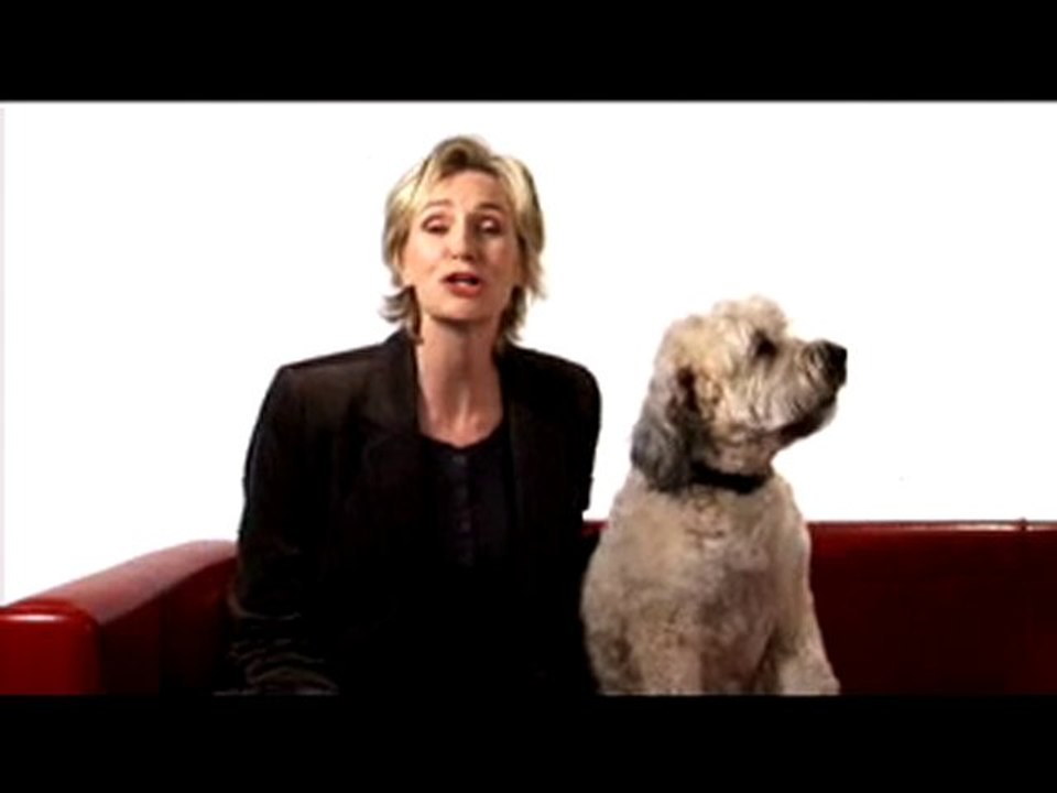 Jane Lynch Spay/Neuter Ad