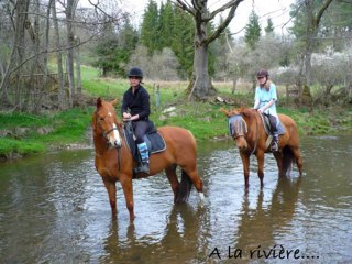 Progression des choupettes, avril-mai