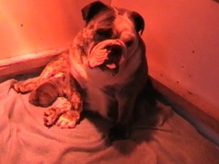 gogogirl et son fils de 3 jours