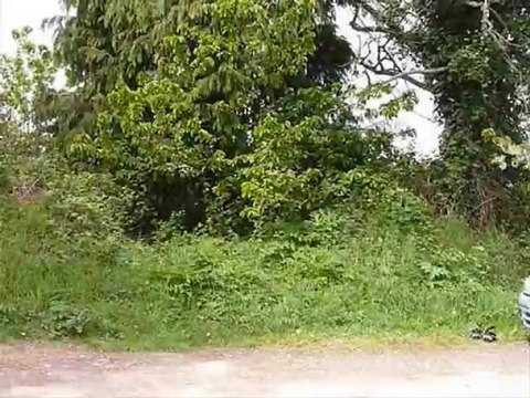 Film Trouc 2010 Bande Annonce 3 - L'Evangile selon Dumyt -