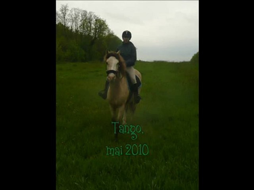 Tango, mai 2010