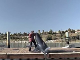 Quitting Smoking Sucks...SHARK!