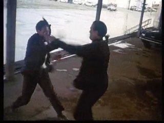 The Glimmer Man (L'Ombre blanche) (1996)