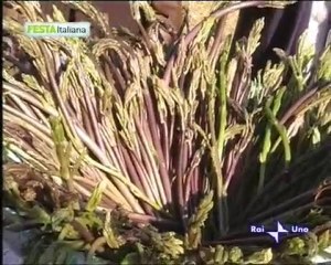 San Cono - Rometta (ME)  "Sagra dell'Asparago Pungitopo"