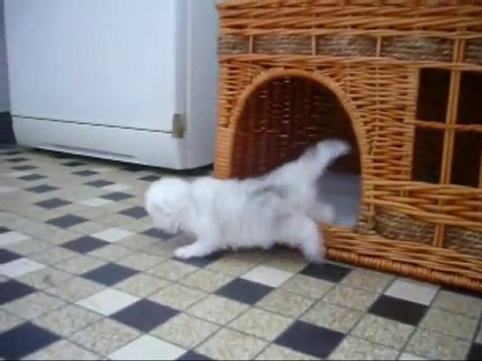 2010-bb-Vladye-08.05.2010