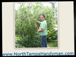 Lutz Handyman - Friendly, Reliable, Affordable Handiman Ser