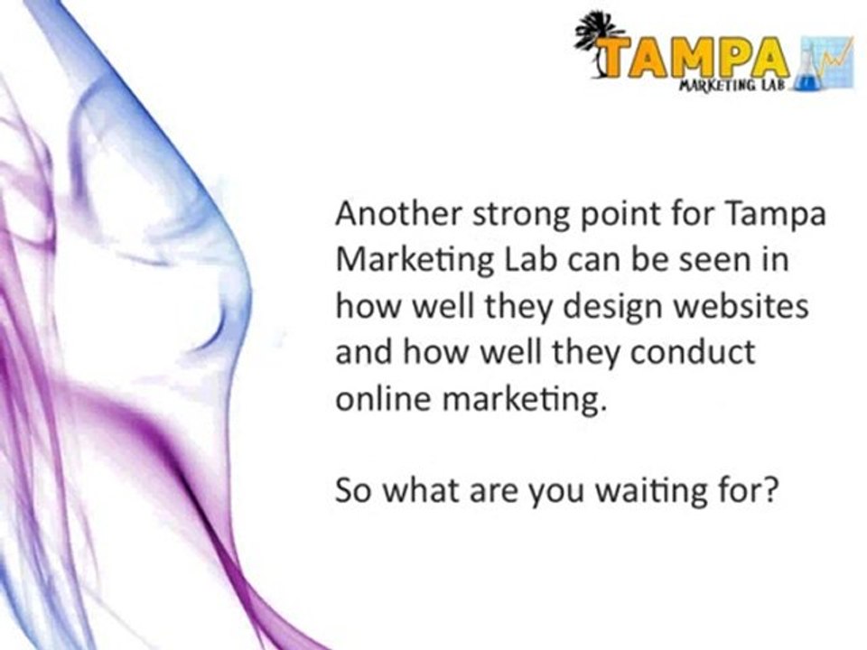 Meet the Elite Marketing in Tampa