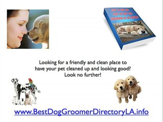 Hollywood Dog Groomers - Discover The Secrets On Tinsletown
