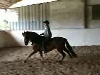 video seance travail manege cacique
