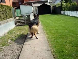 VIDEO 039