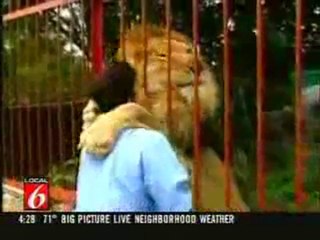 Who said lions eat people at the zoo