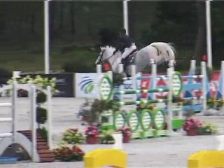 regis villain-catapult-comporta2010-1,35m