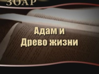 Download Video: Адам и Древо жизни (Сила книги Зоар)