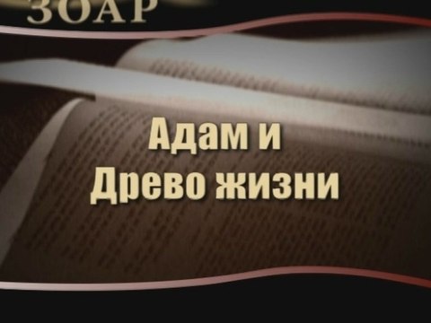 Адам и Древо жизни (Сила книги Зоар)