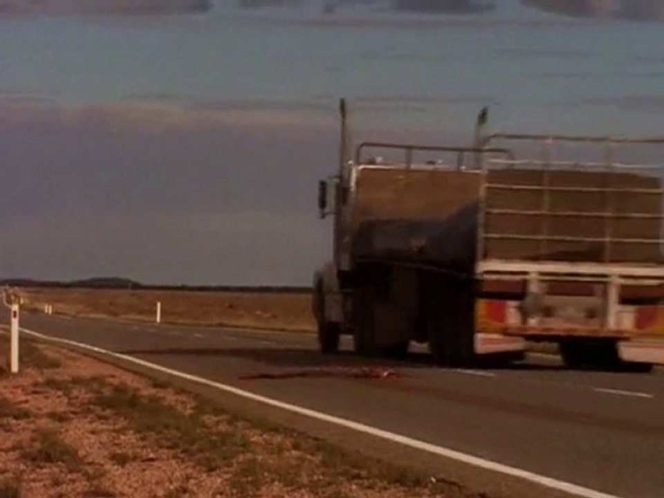 Le Retour Des Kangourous 3