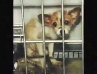 Le Contrat que vous signez tout les jours...(By Terpacific)