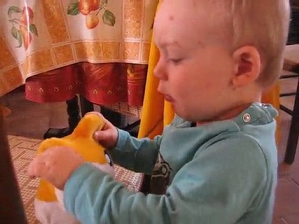 souvenir varicelle 2009