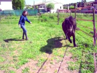 Big Montage Magnifique Du Beau Pheonix