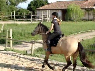 Parcours obstacle en licol 80/90cm 10/05/2010