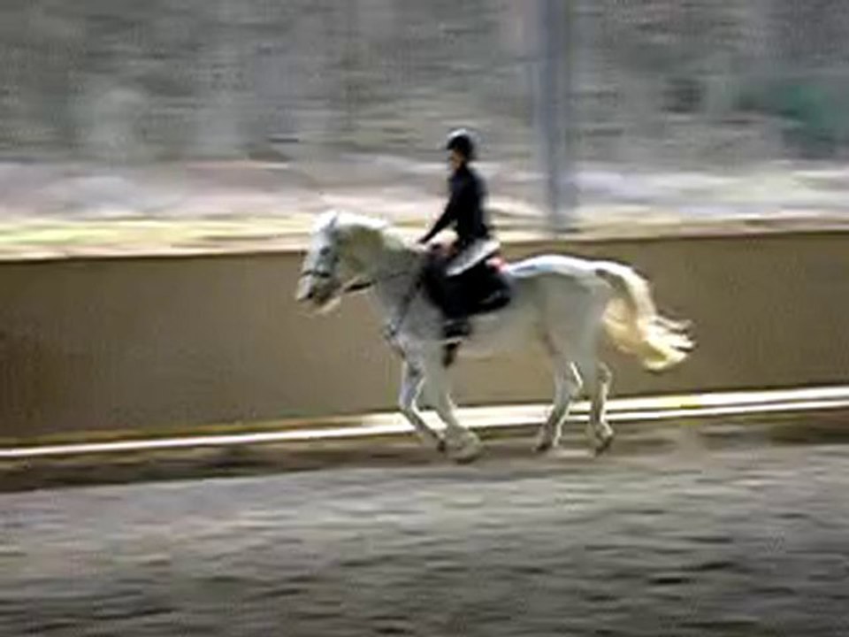 P3291109