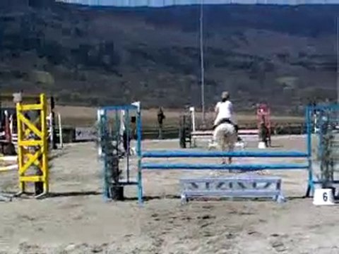 Ali concour ecurie tilleul