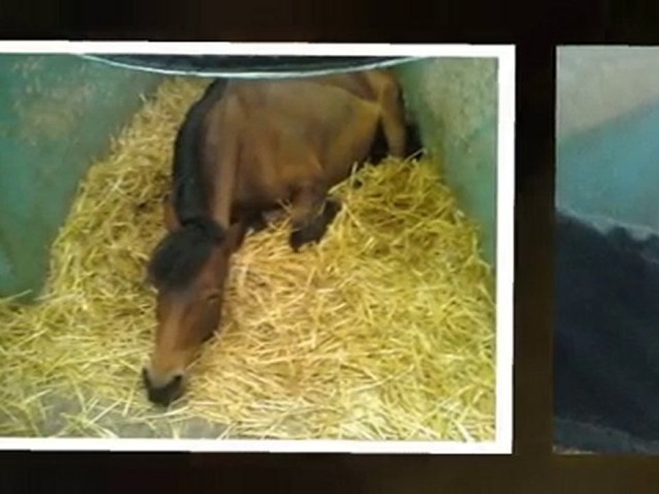 ♥chupa chups ♥ ` → Eux ‹ .ılıllı. ( L ` ღ  l£s m£ill£ur£s ღ