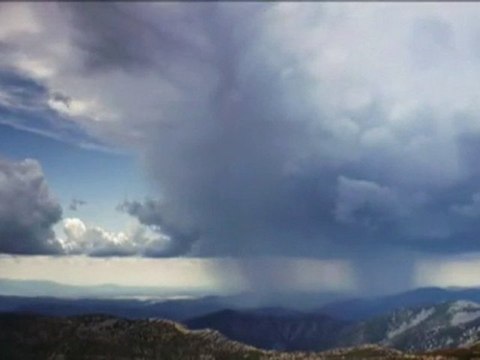 Karmate yayla Çiçeği