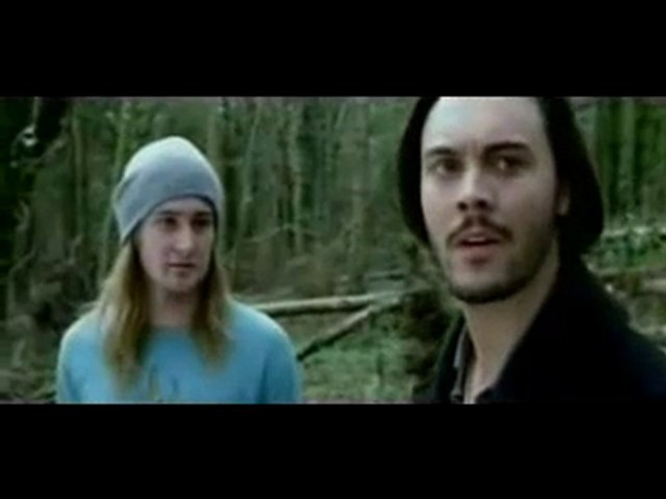 Shrooms Im Rausch des Todes