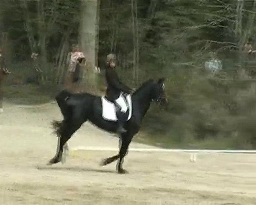 dressage bonnelles le 25 avril 2010